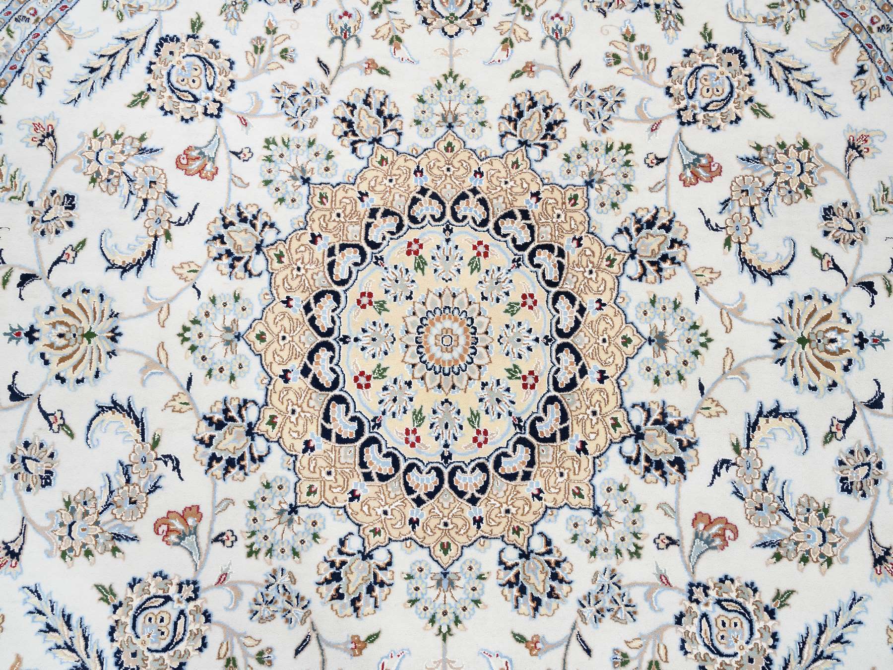 Traditional Rugs LUV576207